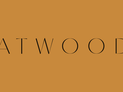 Atwood brand development custom type logotype type typography