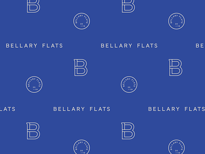 Bellary Flats brand development branding design identity illustration logo mark pattern typography