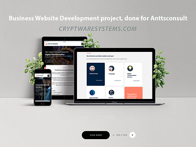 Web Development design web development