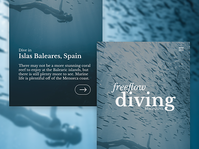Freeform Diving landing page mobile design ui unsplash ux