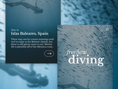 Freeform Diving