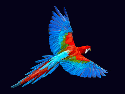 Poly Parrot animal bird colorful geometric parrot poly polygon