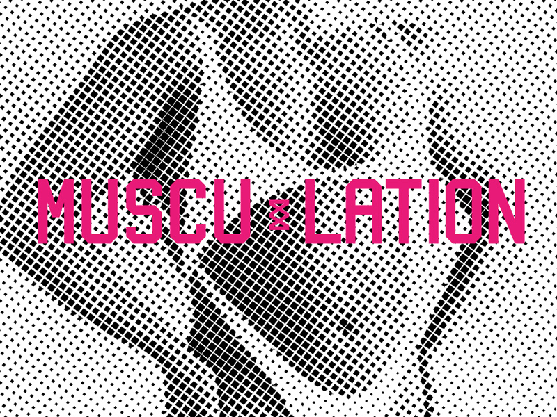 Musculation