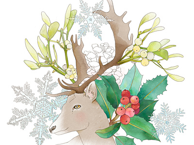 Winter Deer