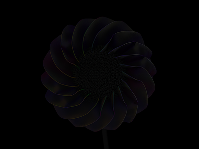 Black flower