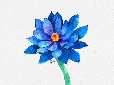 Blue Lotus - Garden series bluelotus illustration bluelotusart bluepalette botanical illustration botanicalart drawing illustration shopart watercolor illustration watercolorart