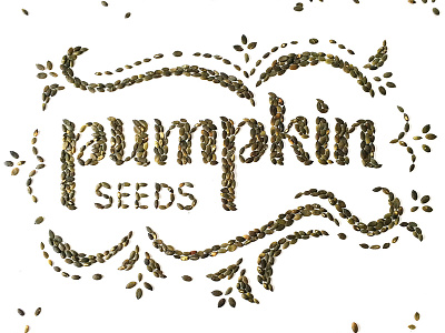 pumpkin seeds - foodlettering calligraphy foodlettering handmadefont lettering pumpkin