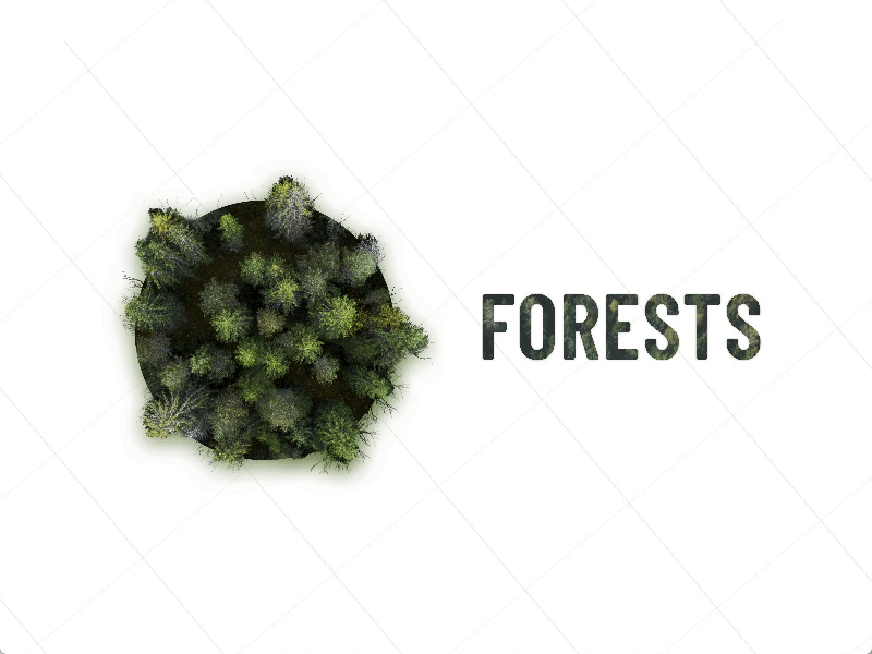 Forest Infographic animation forest info design infographic invision studio invisionapp studio
