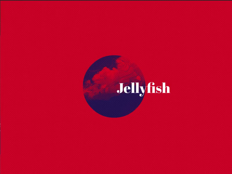 A Jelly Reveal Effect by Christos on Dribbble