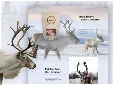 St. Nick's Christmas Jerky christmas designzillas jerky mock the halls reindeer uidesign web design