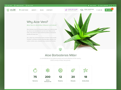 Aloe Infusion - Why Aloe Page clean ecommerce green landing modern page responsive sales page web web design website