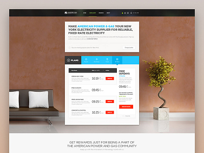 American Power And Gas - Enrollment Pricing Page
