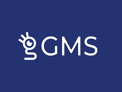 GMS  IT – Recruitment Agency