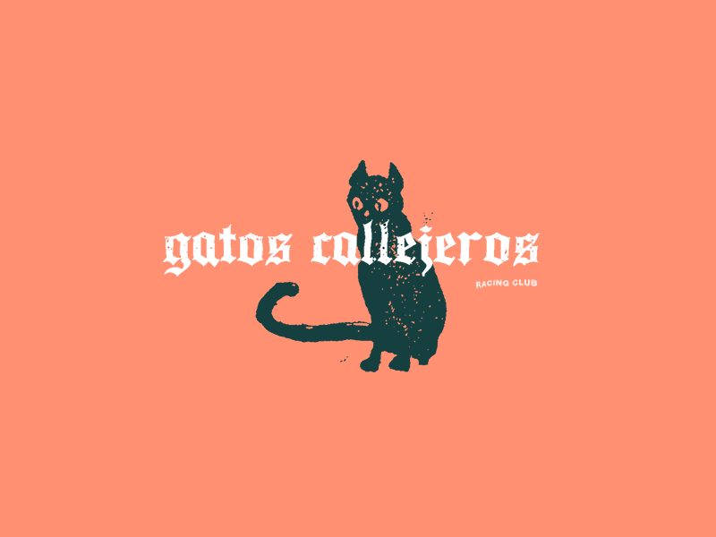 Gatos Callejeros Racing Club illustration branding kitty bicycle bike cat brand logo racing cycling