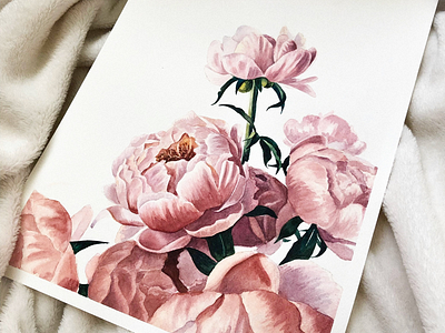 peonies watercolor