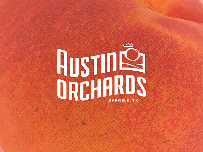 Austin Orchards Logo Concept 2 austin branding crest farm identity logo orchard texas texture vintage
