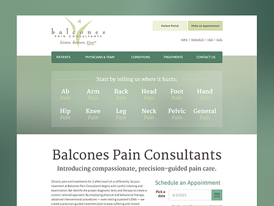 Balcones Pain Homepage