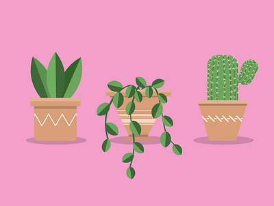 Plants design graphic design icon illustration illustrator logo minimal plants typography vector web