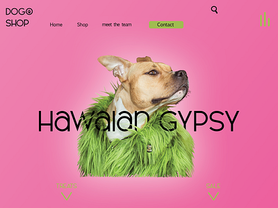 landing page HAWAIAN GYPSY design landingpage photoshop typography