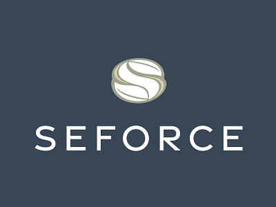 SeForce Brand Development brand agency design icon identity illustration logo