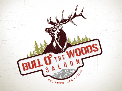 Bull O  The Woods