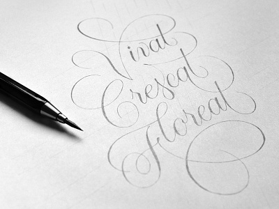 Vivat Crescat Floreat curves hand lettering lettering logo logotype sketch type typography vivat creascat floreat