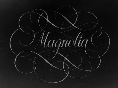 Magnolia