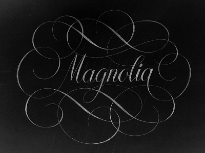 Magnolia curves hand lettering lettering logo logotype magnolia sketch type typography