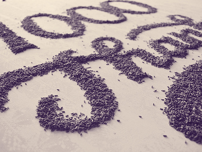 Lavender lettering - 1000 thanks experiment lavender lettering