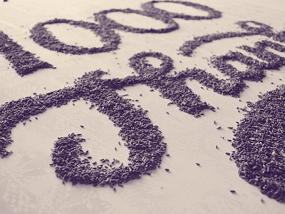 Lavender lettering - 1000 thanks