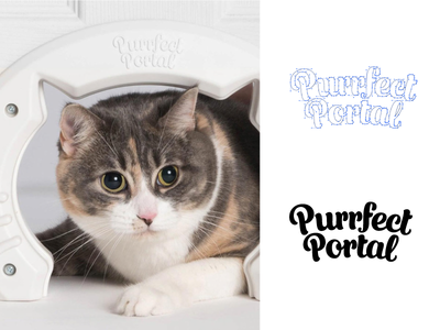 Purrfect portal blackboard branding branding agency cat cat door cats custom lettering logo logo design script