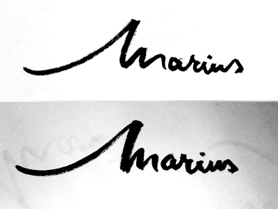 Marius lettering logo logotype marius type typography