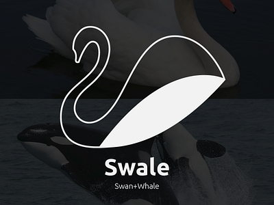 Swale branding design graphic design illustration illustrator logo logodesign