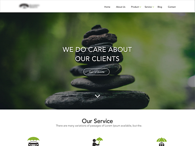 Insurance Agent Website design.