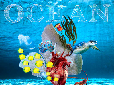 Ocean Heart composite composite image design ocean life photography