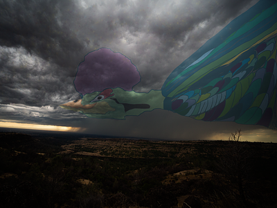 Thunder Bird california clouds design illustration illustration art photography