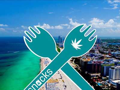 Snacks Miami art branding california content creator content design design