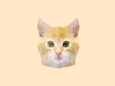 Cat animal cat illustration kitten low poly polygon