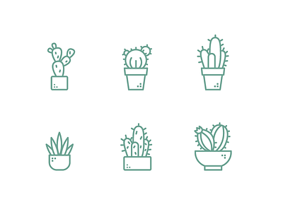 Cactus green illustration nature outline icon outline illustration plants succulent