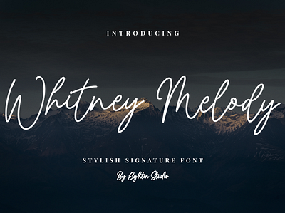 Whitney Melody Font branding design display font handwritten handwritten font label logo typography