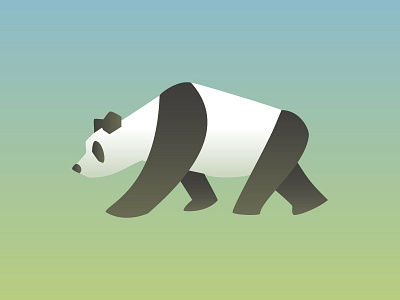 panda bear gradient panda pandas