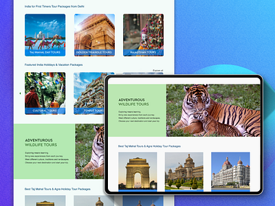 Website design (Nikita Holidays) graphic design