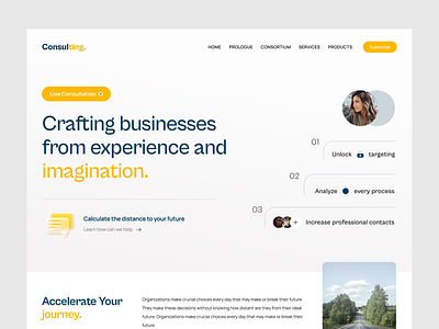 Business Consulting Landing Page Design
