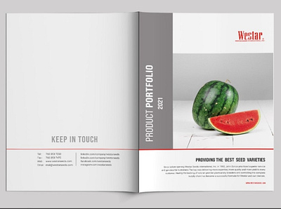 Product Portfolio banner design brand identity branding brochure brochure design business profile business proposal catalog design typography white paper