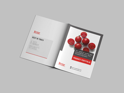 Product Catalog brand identity brochure brochure design business profile business proposal catalog design product catalog typography ux vector white paper