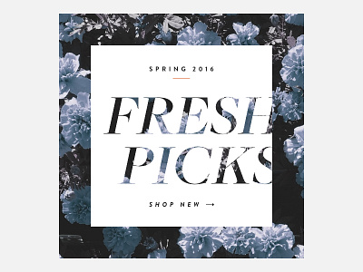 Fresh picks call to action cta ecommerce floral flowers new shop shopping