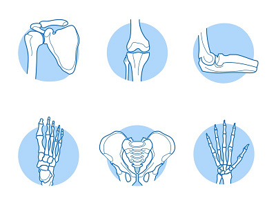Human anatomy #1 anatomy bones care health illustration medical