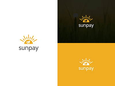 Pay Brand Logo Design