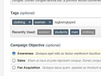 Pinpoint Social Campaign Tags form tags