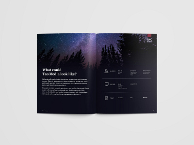 Pitch Leave-Behind brochure brochure design editorial design pitch print design